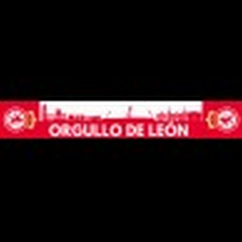 BUFANDA ORGULLO DE LEON 25/26