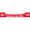 Bufanda Orgullo de León