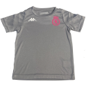 Camiseta entrenamiento gris