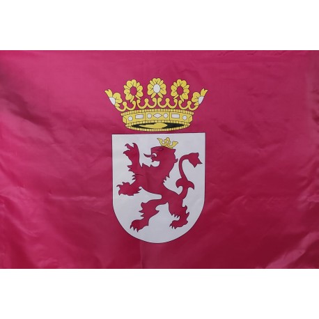 Bandera de León