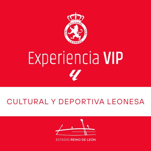EXP. VIP CyD LEONESA VS BURGOS